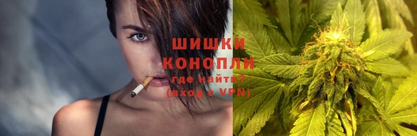 сатива Абдулино