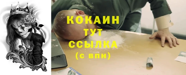 прущие грибы Абинск