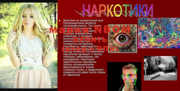 прущие грибы Абинск