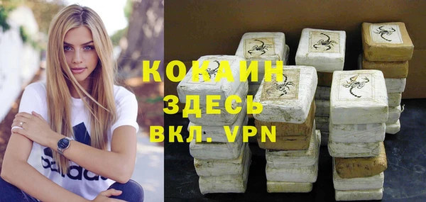 прущие грибы Абинск