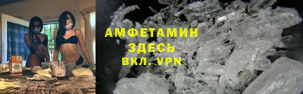 прущие грибы Абинск